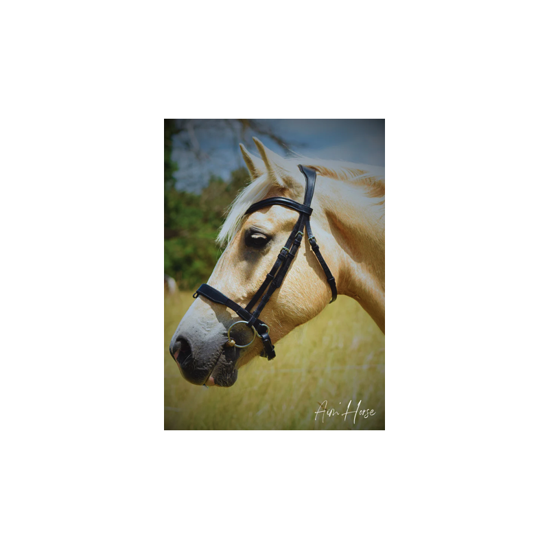 Captiv+ Snaffle - Aim'Horse