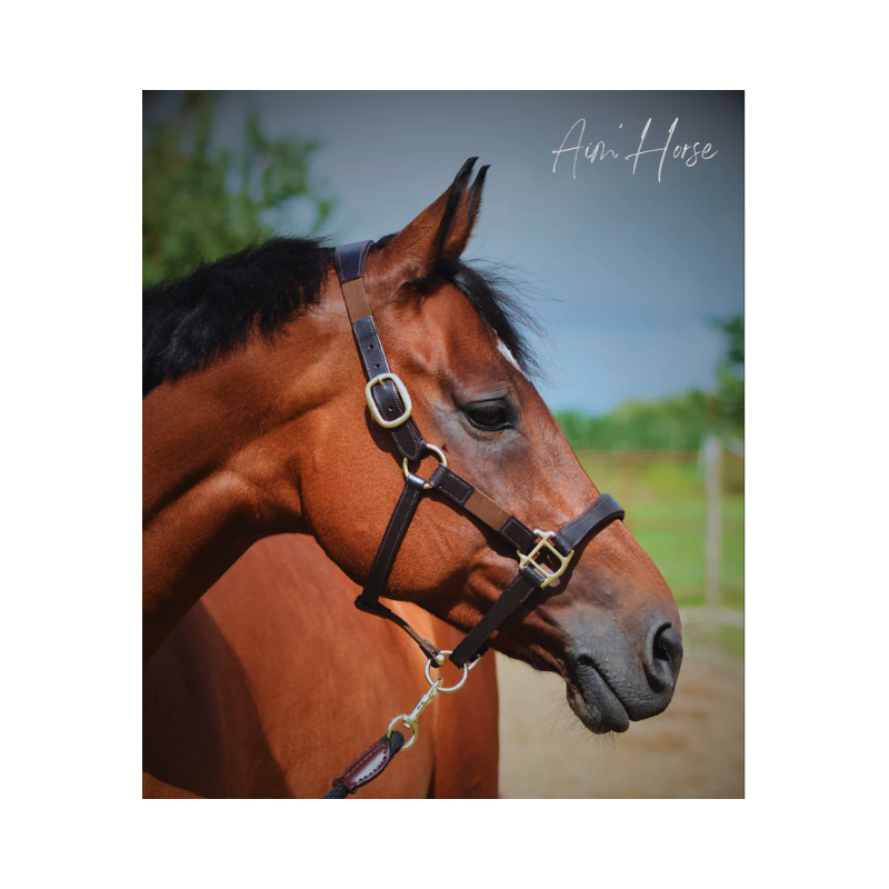 Licol Safe+ - Aim'Horse