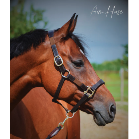 Safe+ Halter - Aim'Horse