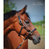 Safe+ Halter - Aim'Horse