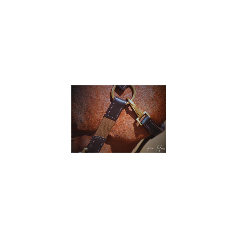 Licol Safe+ - Aim'Horse