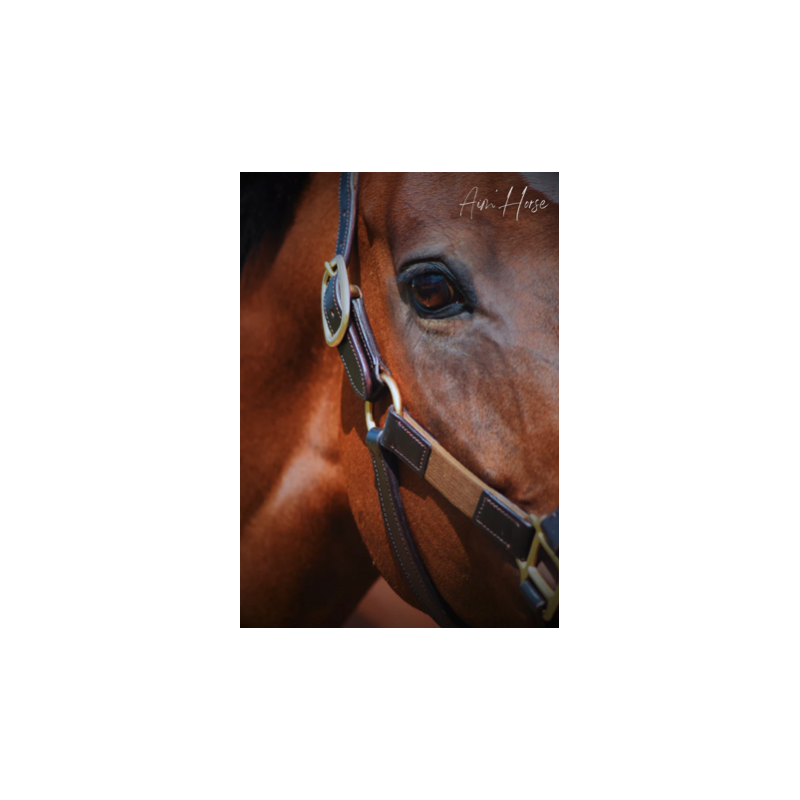 Safe+ Halter - Aim'Horse