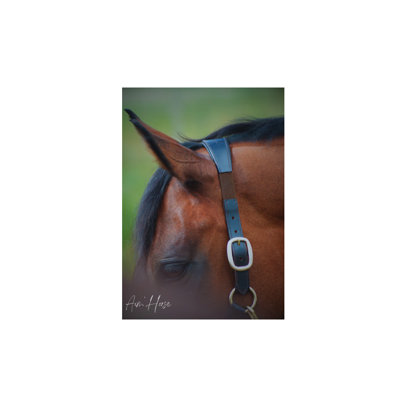 Safe+ Halter - Aim'Horse