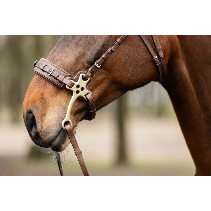 Bridle anatomic hackamore Sopot