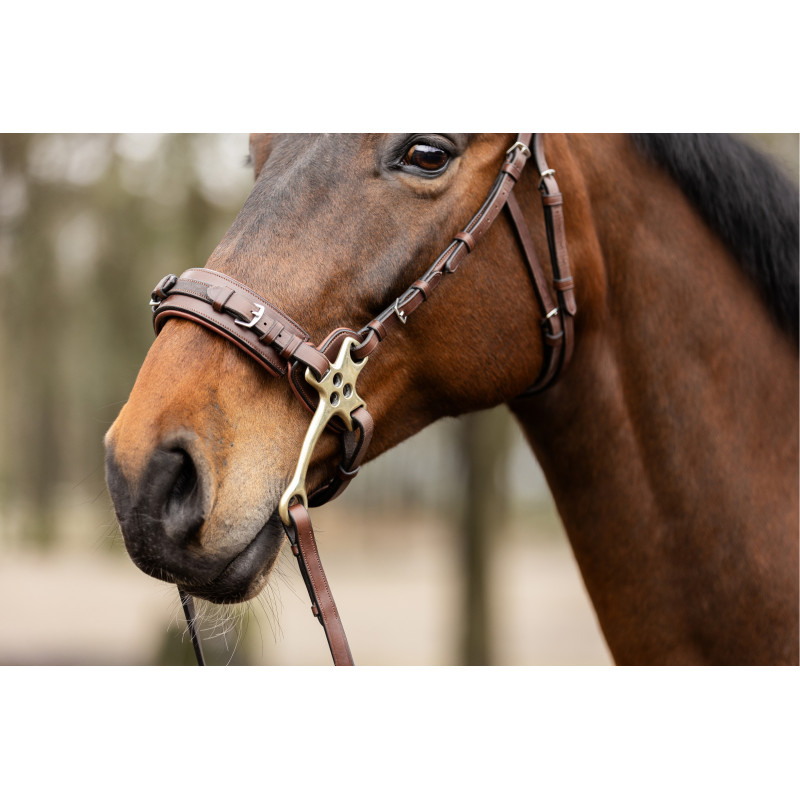 Bridle anatomic hackamore Sopot