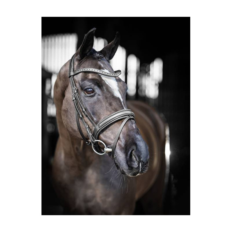 Arika dressage Bridle