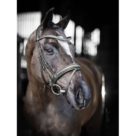 Arika dressage Bridle