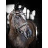 Arika dressage Bridle