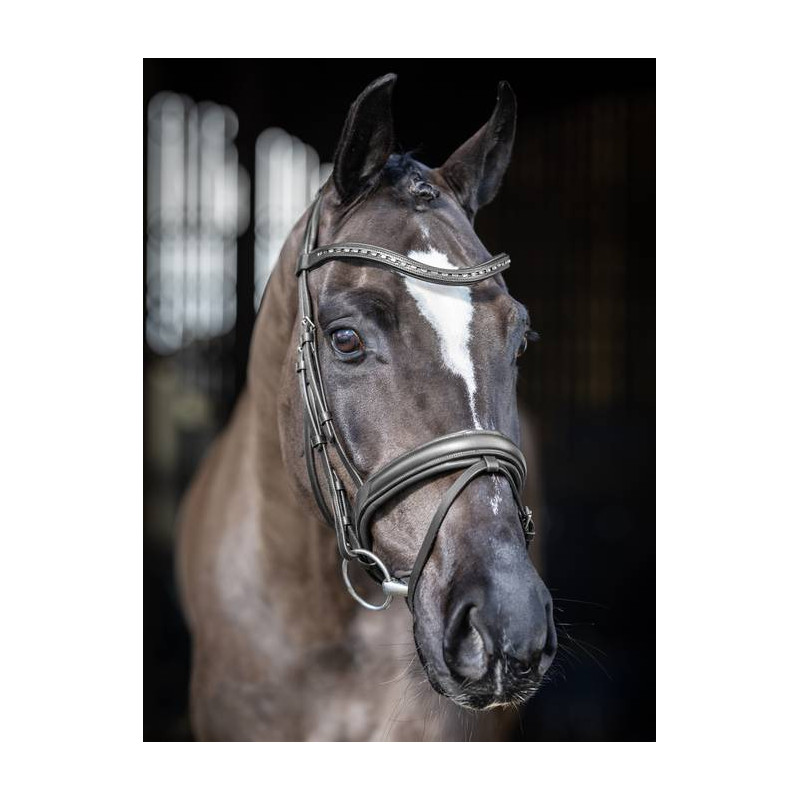 Arika dressage Bridle