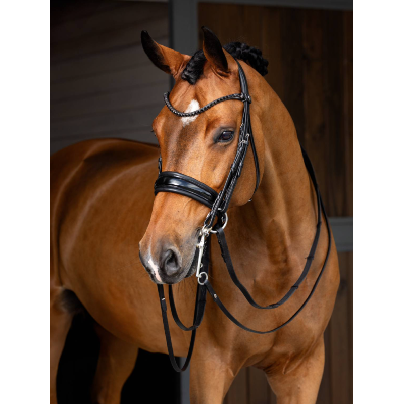 Kudos Double Bridle - Le Mieux