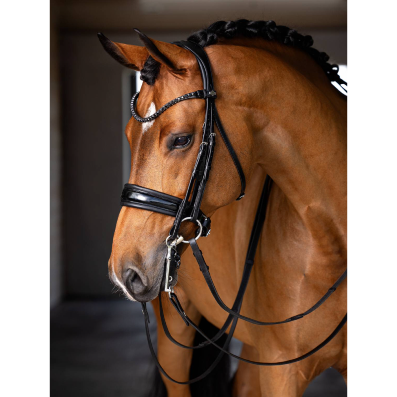 Kudos Double Bridle - Le Mieux