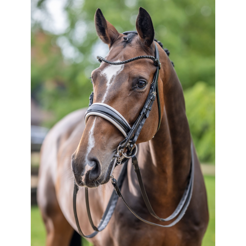 Kudos Double Bridle - Le Mieux