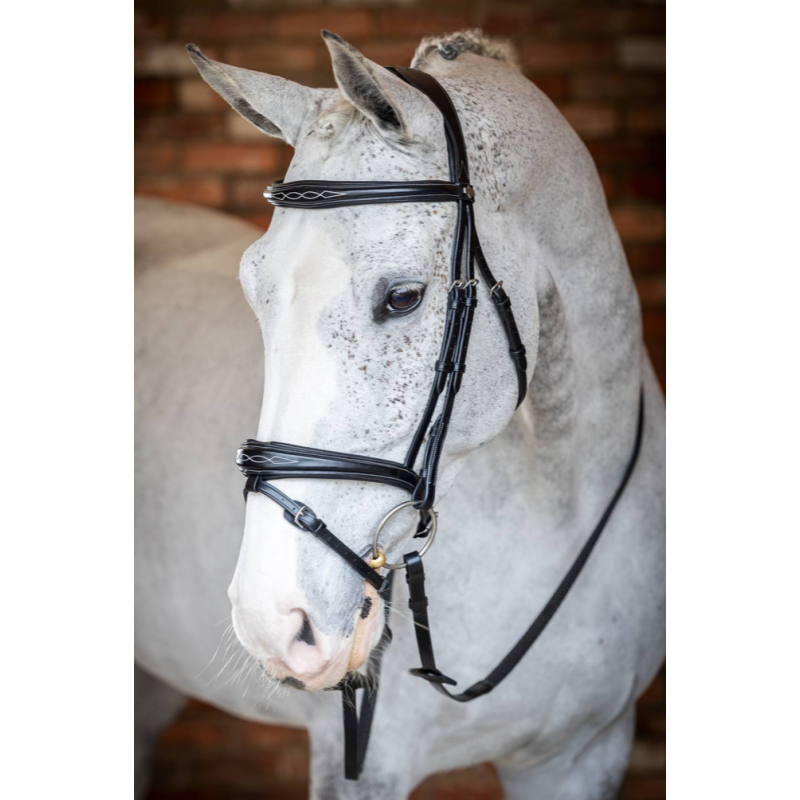 Kudos Competition Flash Bridle - Le Mieux