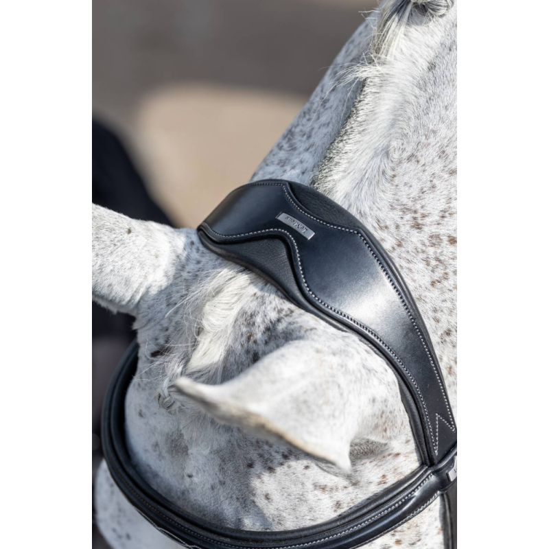 Kudos Competition Flash Bridle - Le Mieux