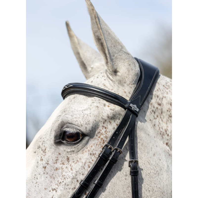 Kudos Competition Flash Bridle - Le Mieux