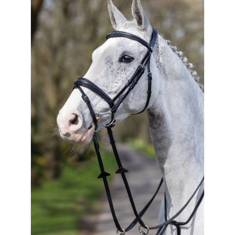 Kudos Competition Flash Bridle - Le Mieux