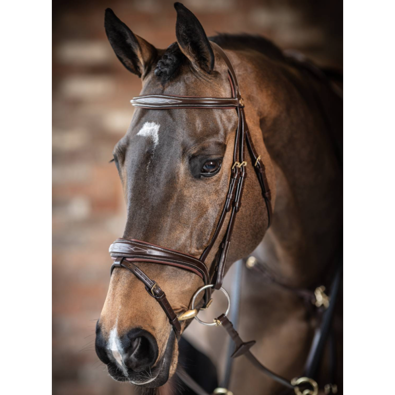 Kudos Competition Flash Bridle - Le Mieux