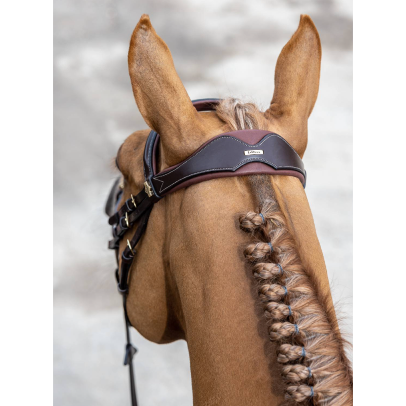 Kudos Competition Flash Bridle - Le Mieux
