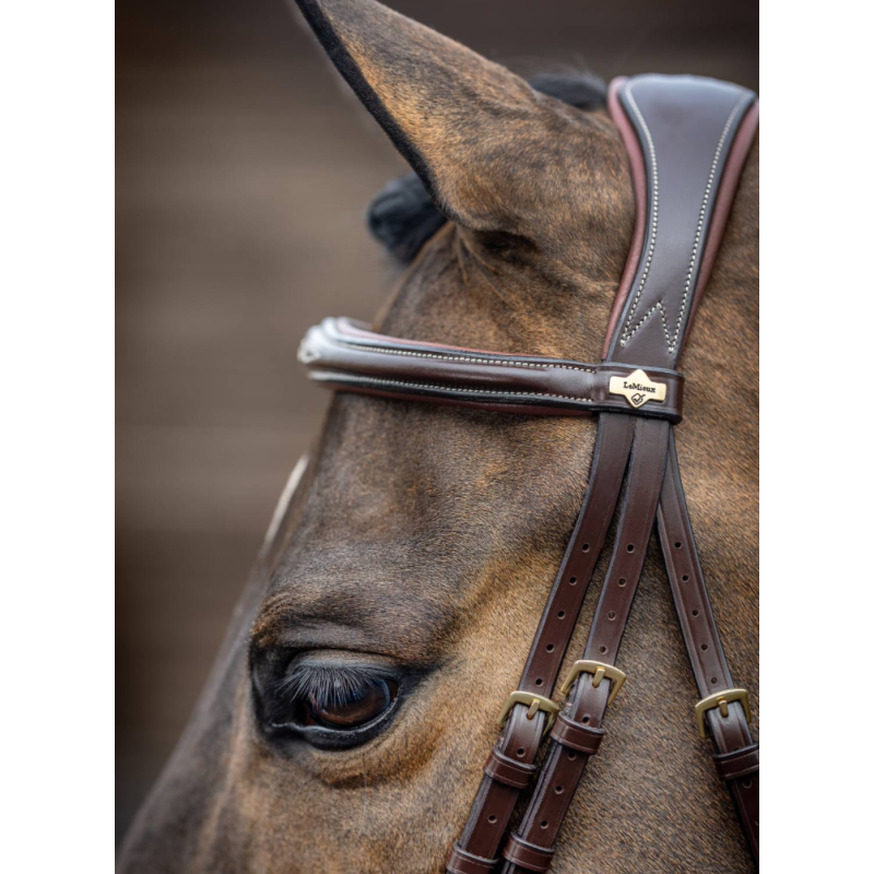 Kudos Competition Flash Bridle - Le Mieux