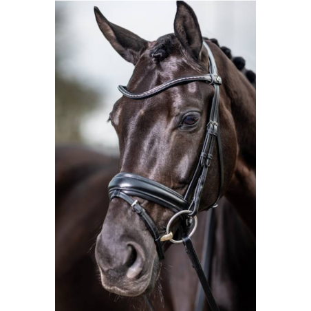 Kudos Dressage Classic Bridle - Le Mieux