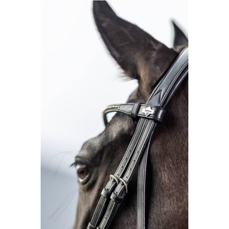 Kudos Dressage Classic Bridle - Le Mieux