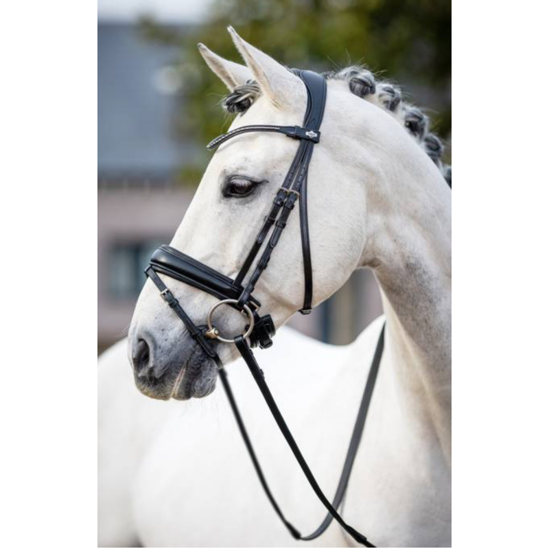 Kudos Dressage Classic Bridle - Le Mieux