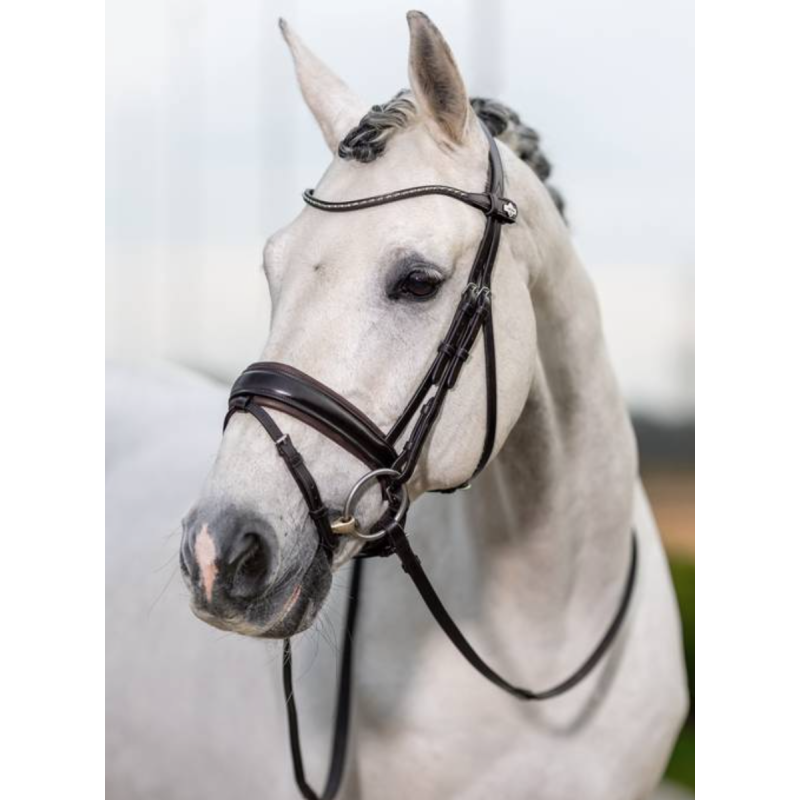 Kudos Dressage Classic Bridle - Le Mieux