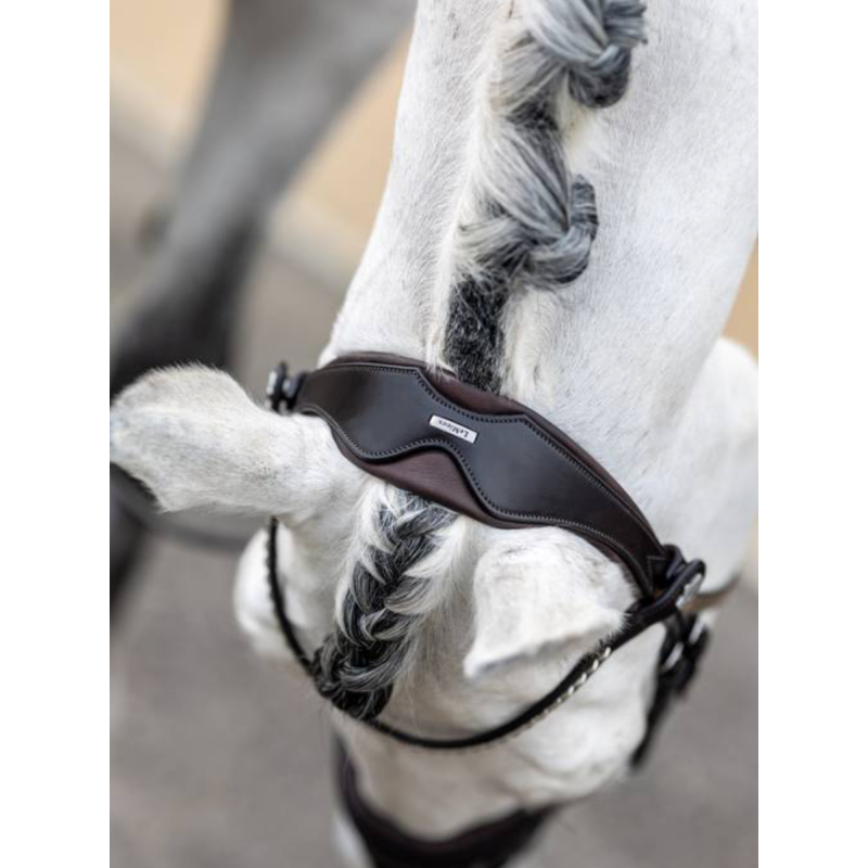Kudos Dressage Classic Bridle - Le Mieux