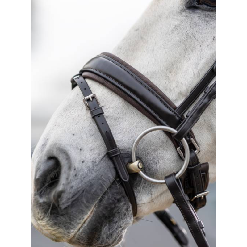 Kudos Dressage Classic Bridle - Le Mieux