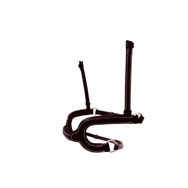 H Noseband