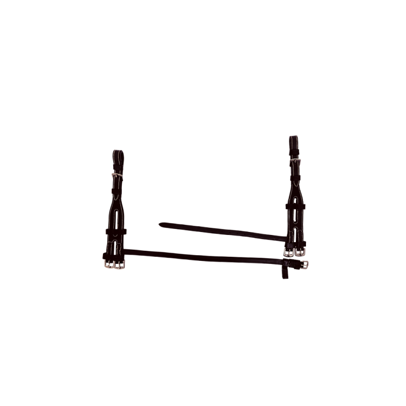 Cheekpieces for Hackamore - Silver Crown