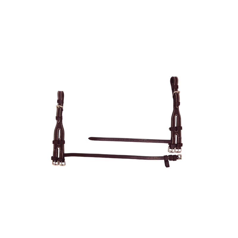 Cheekpieces for Hackamore - Silver Crown