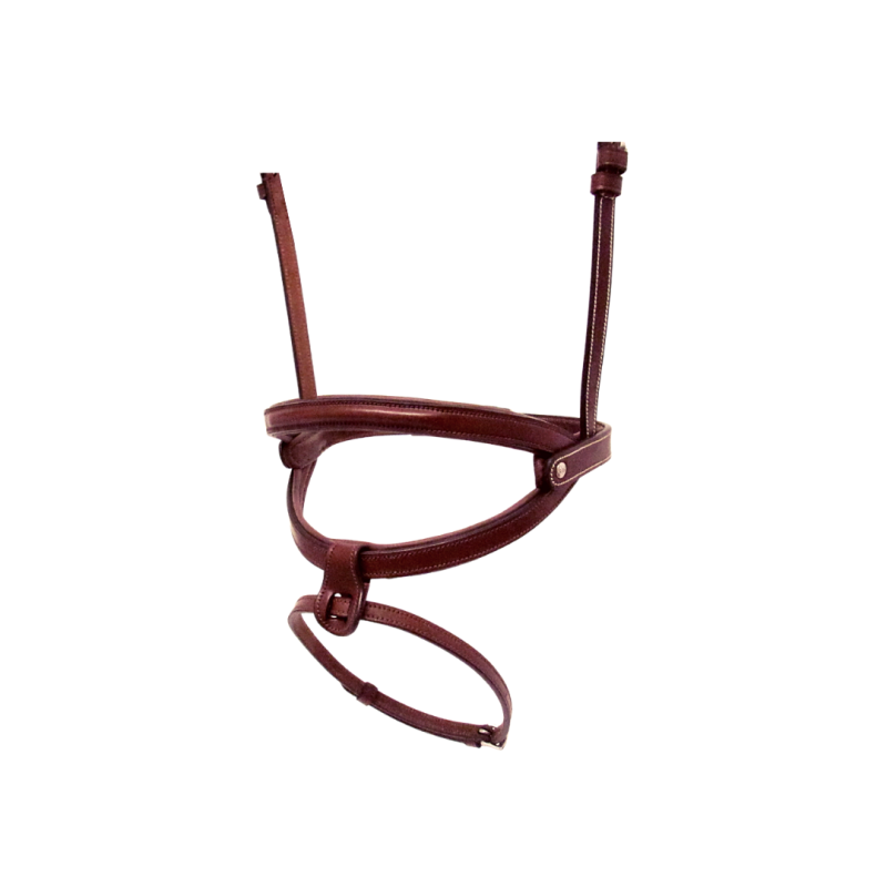 Brazilian Noseband Silver Crown