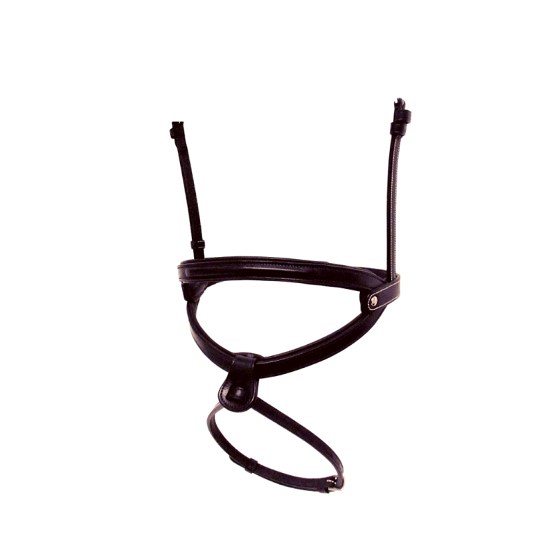 Brazilian Noseband Silver Crown