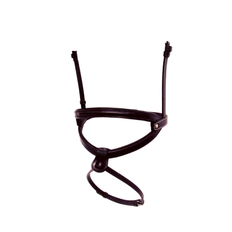 Brazilian Noseband Silver Crown