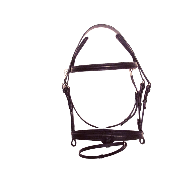 Bridle Code 01 - Silver Crown