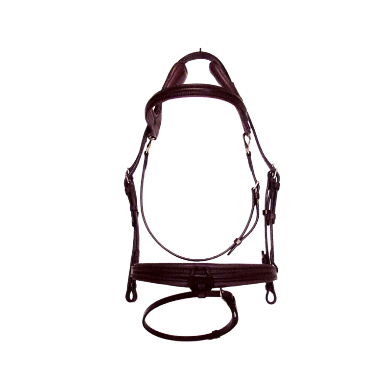 Bridle Code 01