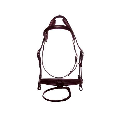 Bridle Code 01