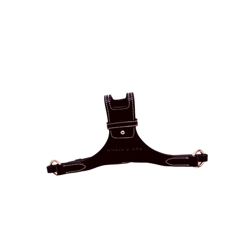 Removal X-Nose Noseband Silver Crown