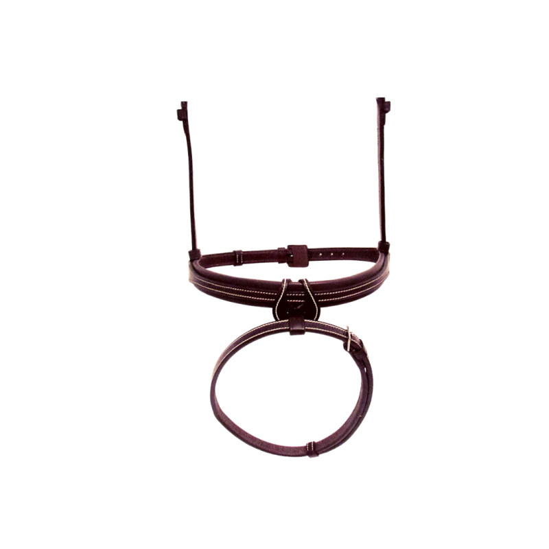 Flash Noseband