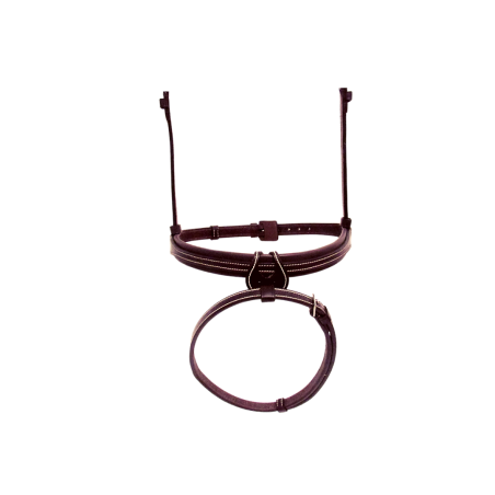 Flash Noseband