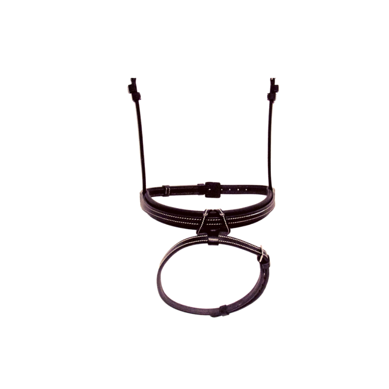 Flash Noseband
