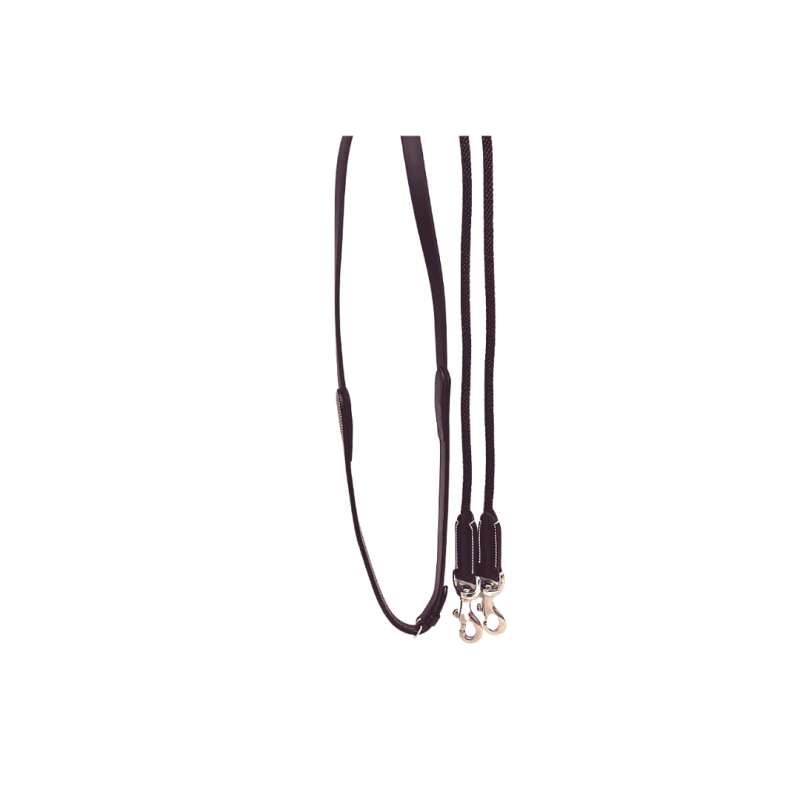 Draw Reins Silver Crown
