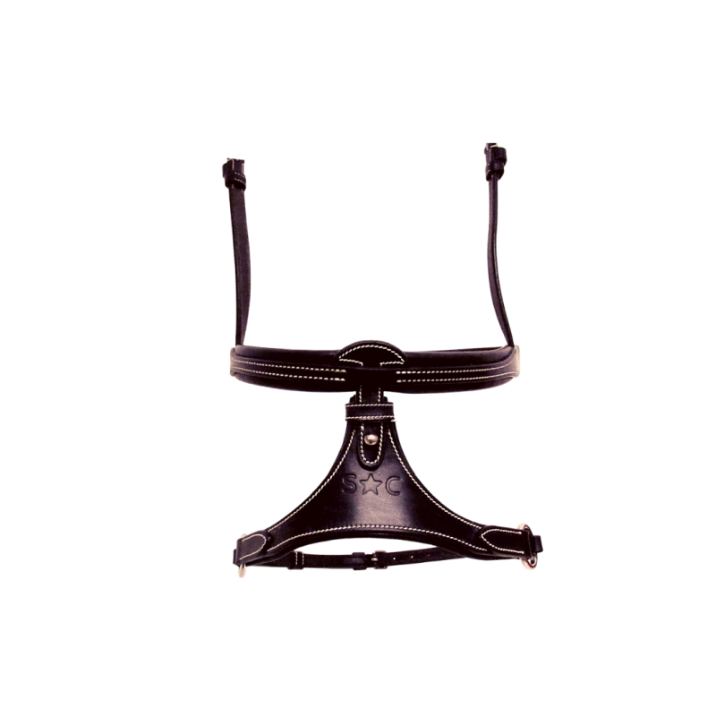 Noseband and X-Nose Silver Crown