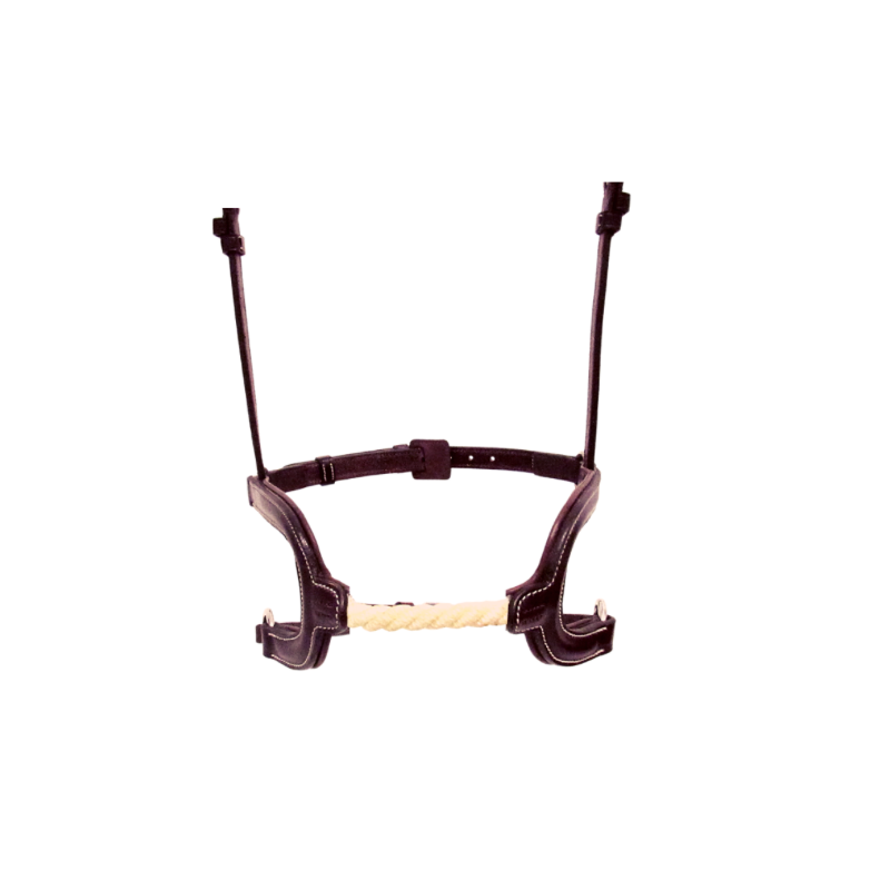 H cord Noseband
