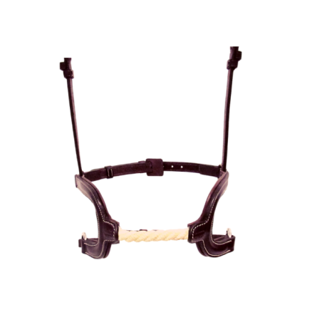 H cord Noseband