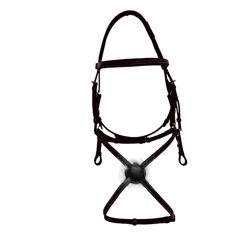Bridon Calgary muserolle croisée Cavaletti