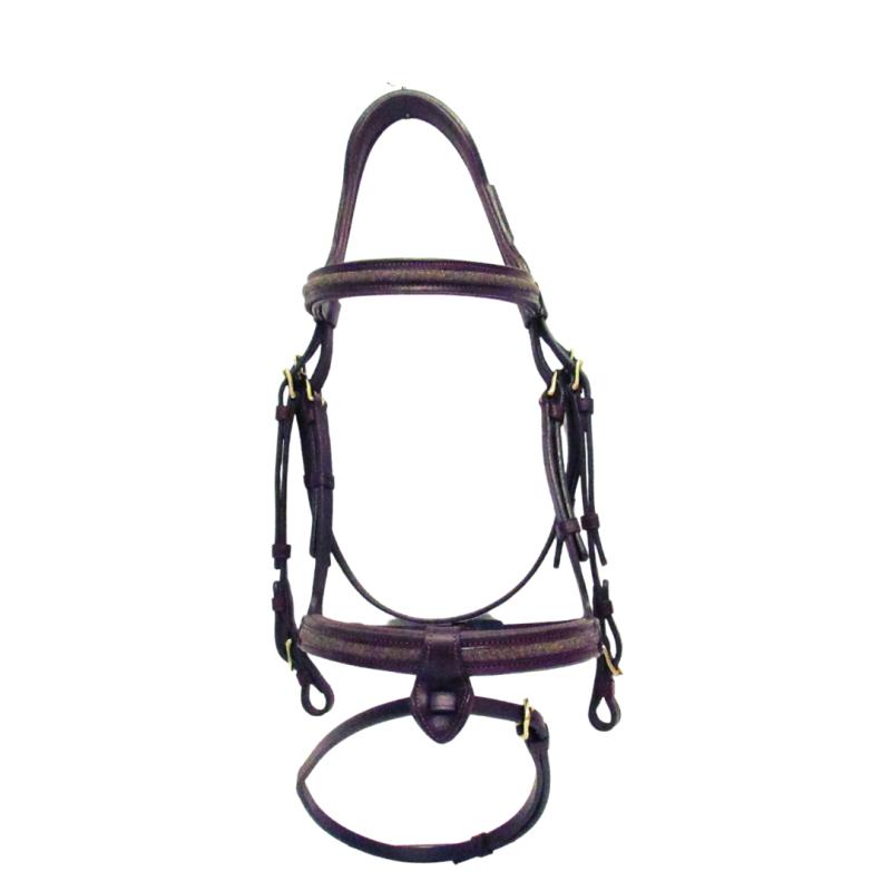 Goldy Bridle Cavaletti