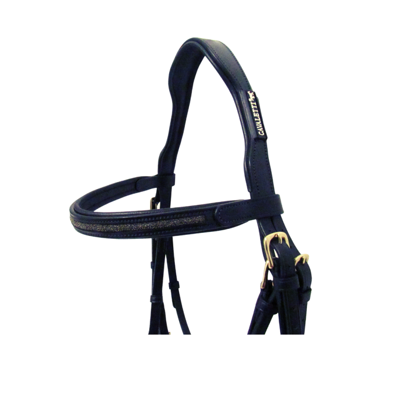 Goldy Bridle Cavaletti