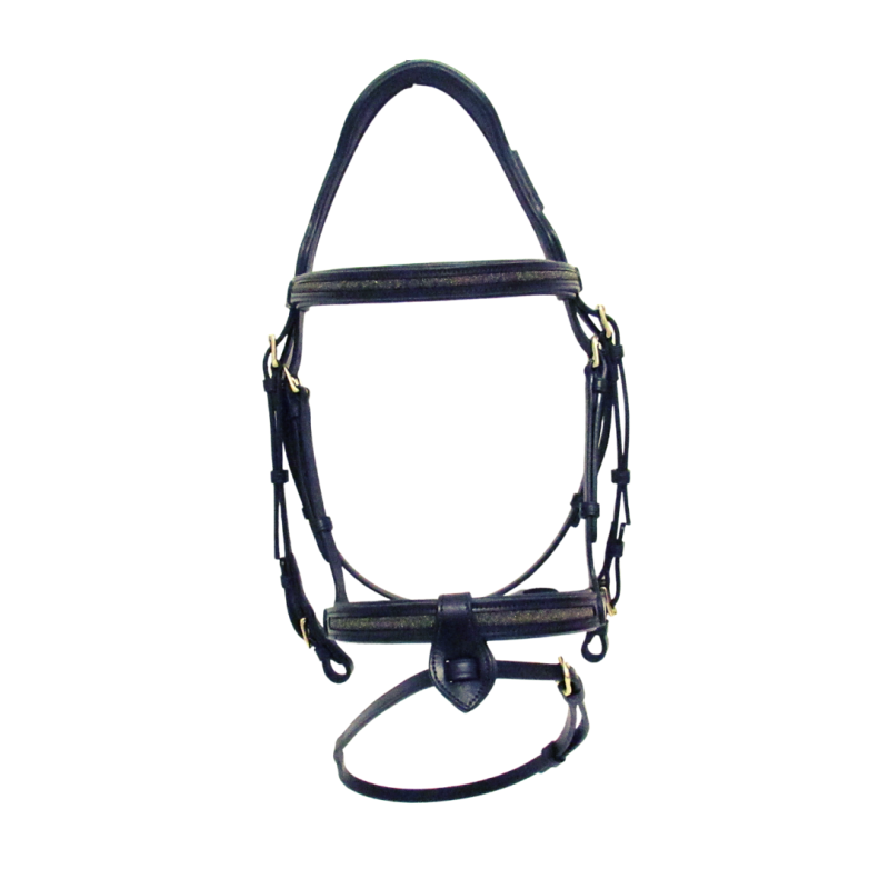 Goldy Bridle Cavaletti